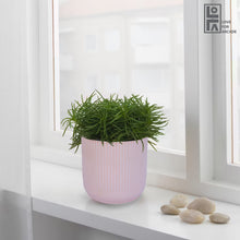 Load image into Gallery viewer, LOFA Decorative Round Flower Pot - LOFA-Love for Arcade
